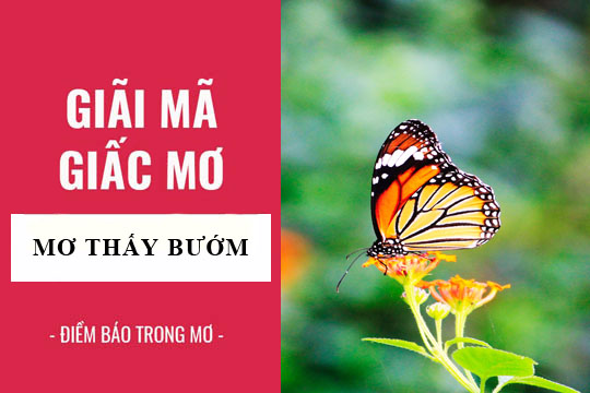 Xổ số Bình Thuận 30 ngày